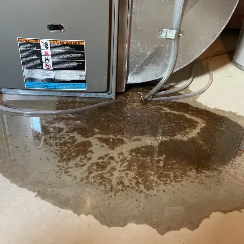 Appliance Leak Cleanup in Gallup, NM